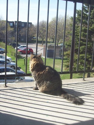 balcon soleil -1