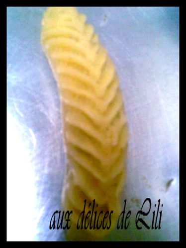 nekache-de-lila-2.jpg