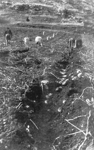 agriculture de montagne en Aude024