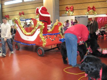 photos-diverses 3706