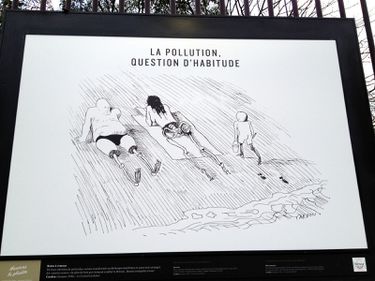 Dessins-de-presse 3811-001