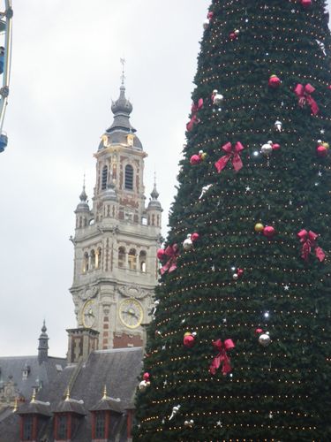 IMGP0600
