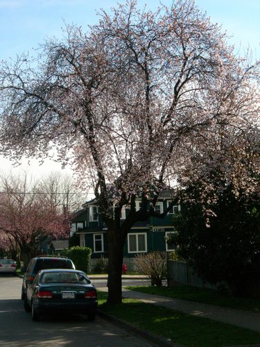 DSCN1414.JPG