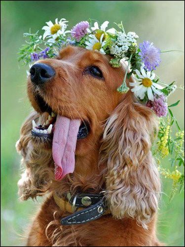 printemps