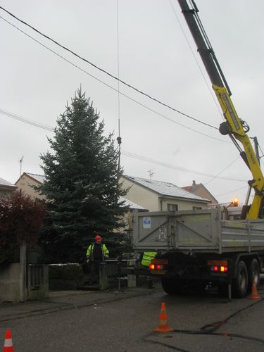 sapin-2010 1710