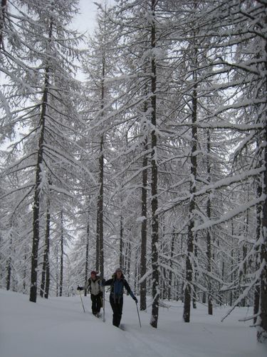 2010 02 Champsaur 029