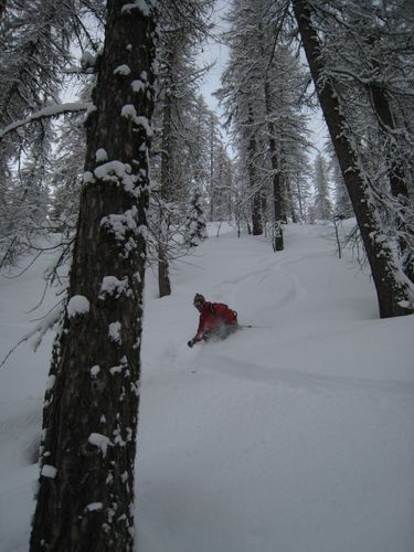 2010 02 Champsaur 088