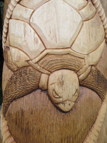 tortue
