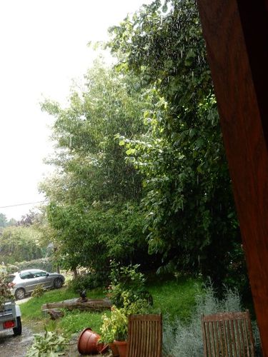 DSCN1377.JPG