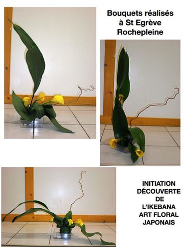 ikebanacompterendu.014