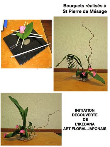 ikebanacompterendu.020