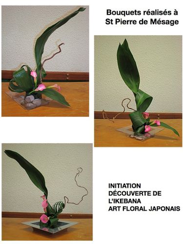 ikebanacompterendu.021