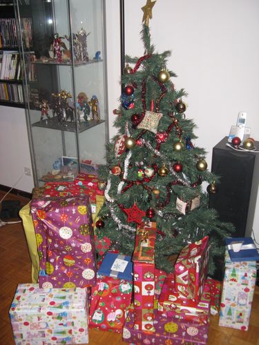 Noël 2009 018