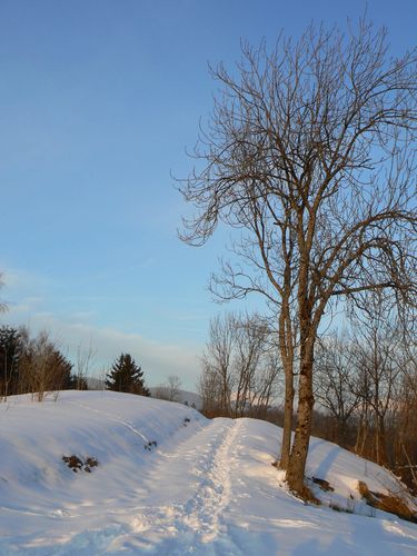 sentier