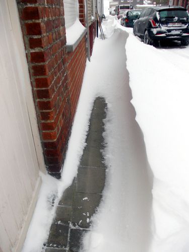 DSCN0133.JPG