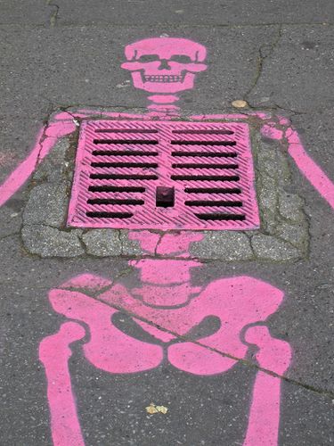 street-art squelette rose 4744