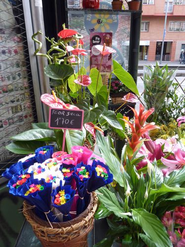 Marchand de fleurs séchées