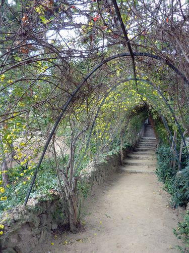 Parc Guell arceaux de plantes