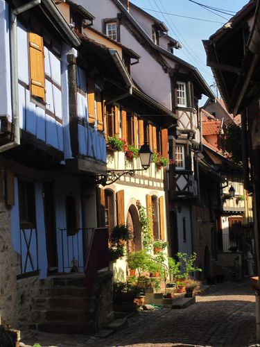 ALSACE 302
