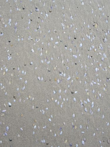 Bretagne 011