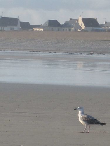 Bretagne 043
