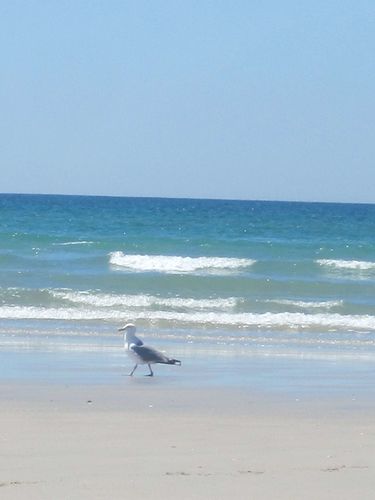 Bretagne 377