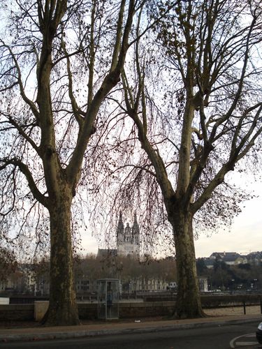 Place La Rochefoucault, Entre deux platanes, la Cathédrale