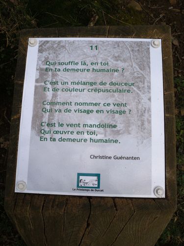 11guénanten