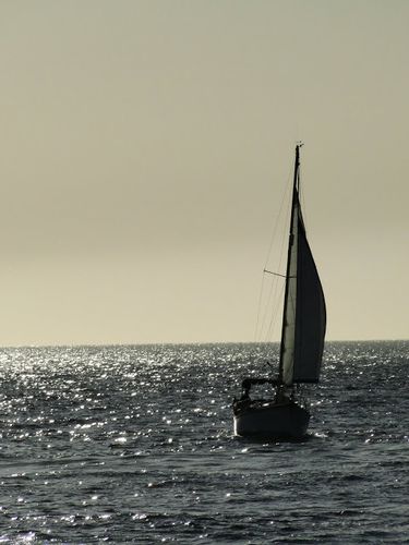 DSC08814.JPG