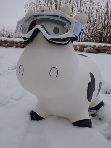 rosalie-a-la-neige.jpg
