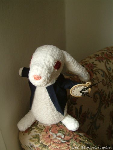Lapin 01