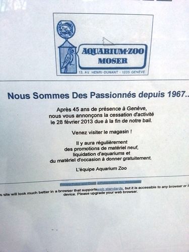Janvier 2013 (2)r