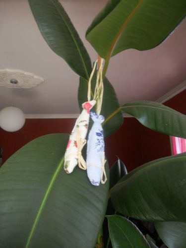 DSCN5503.JPG