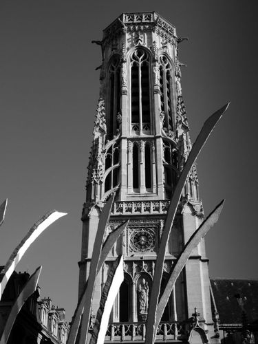 _1090518.jpg