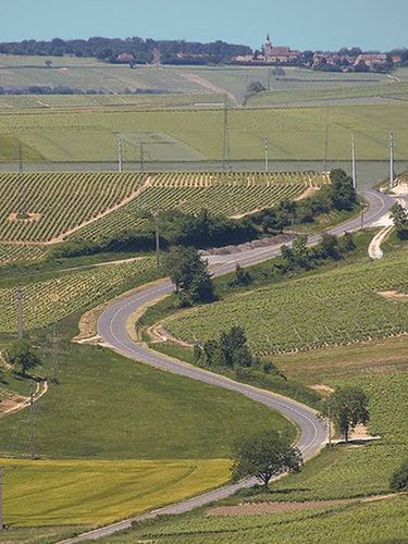 6389-Route-vignobles-SANCERRE.jpg