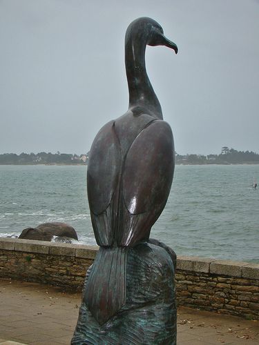 2419-LE-CORMORAN-Concarneaujpg.jpg