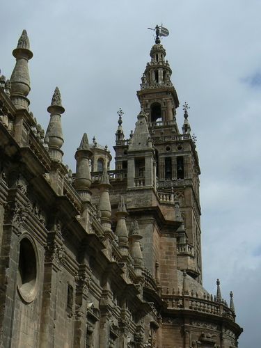 P1110336.jpg