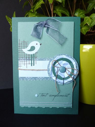 carte bleue 1