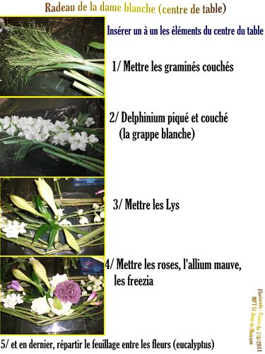 2011 7 6 radeau dame blanche C