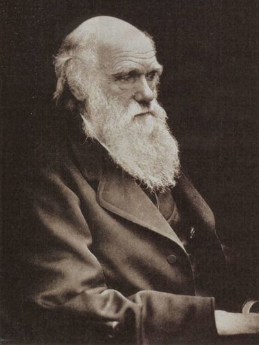 charles-darwin.jpg