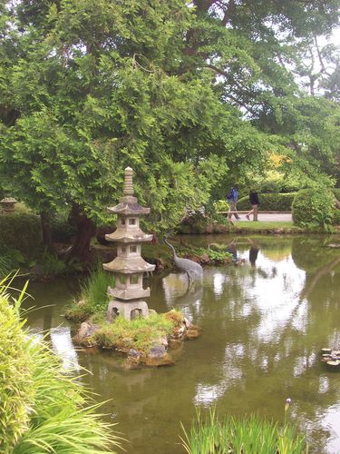 Japanese garden (18)