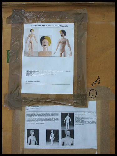 accrochage ORLAN Musée d'art moderne de Saint-Etienne