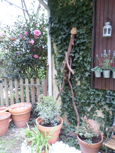 jardin-mars14-008.JPG