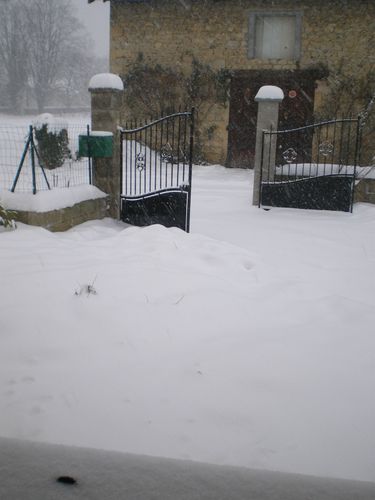 08012010-008.jpg
