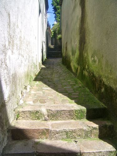 clins-d-oeil---1.jpg
