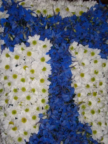 Torinovoli Decesso dell'Amico Robert Bricault.