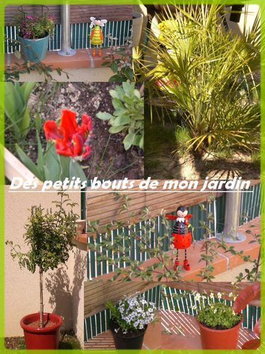 montage mon jardin