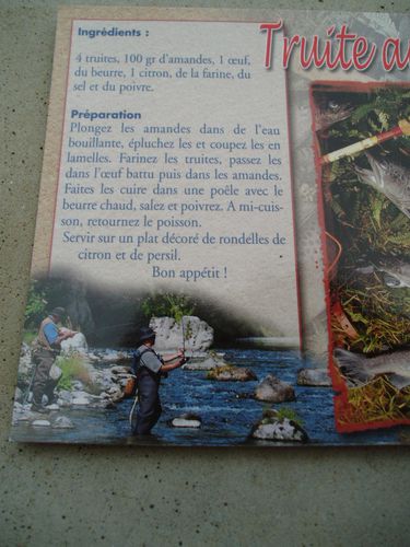 truite2