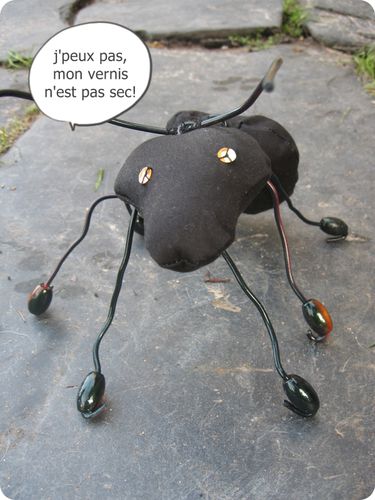 fourmi3.JPG