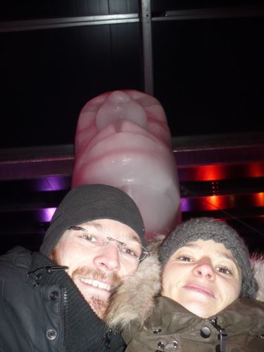 icesculpture (6)